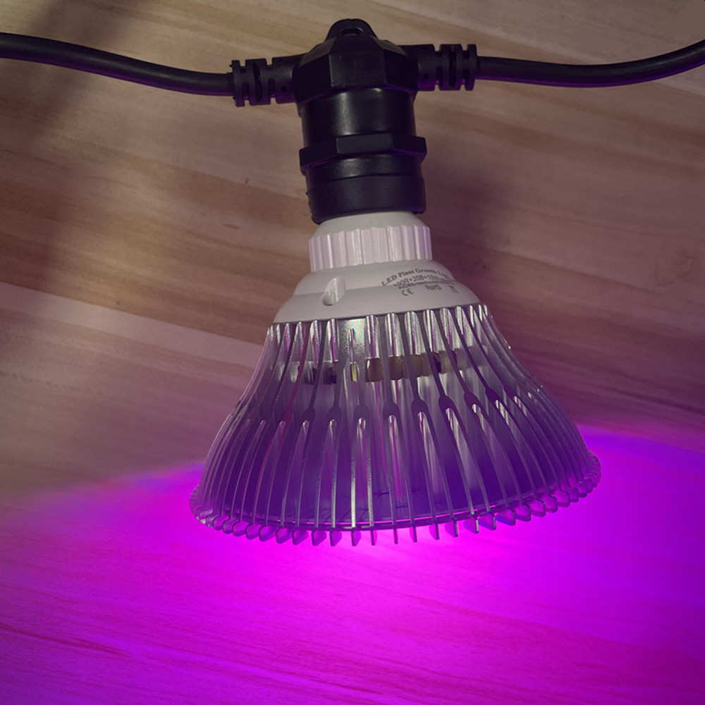 Cabo de LED de 10M à prova d'á - Outdoor Lighting Effects avaliação e preço